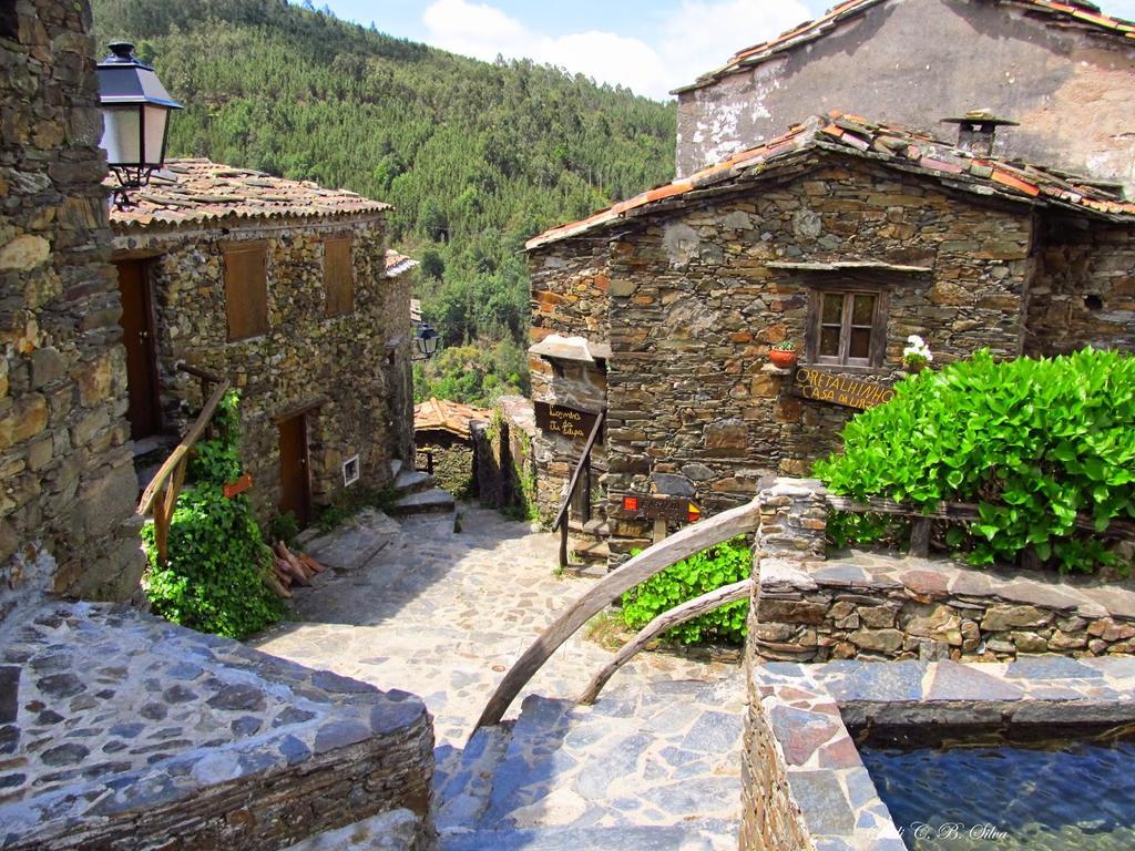 Vivenda Pirilampo Villa Vila Nova de Poiares Exteriör bild