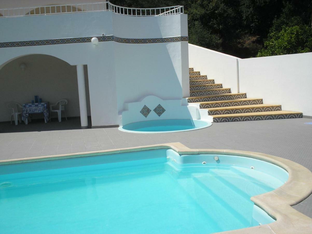 Vivenda Pirilampo Villa Vila Nova de Poiares Exteriör bild