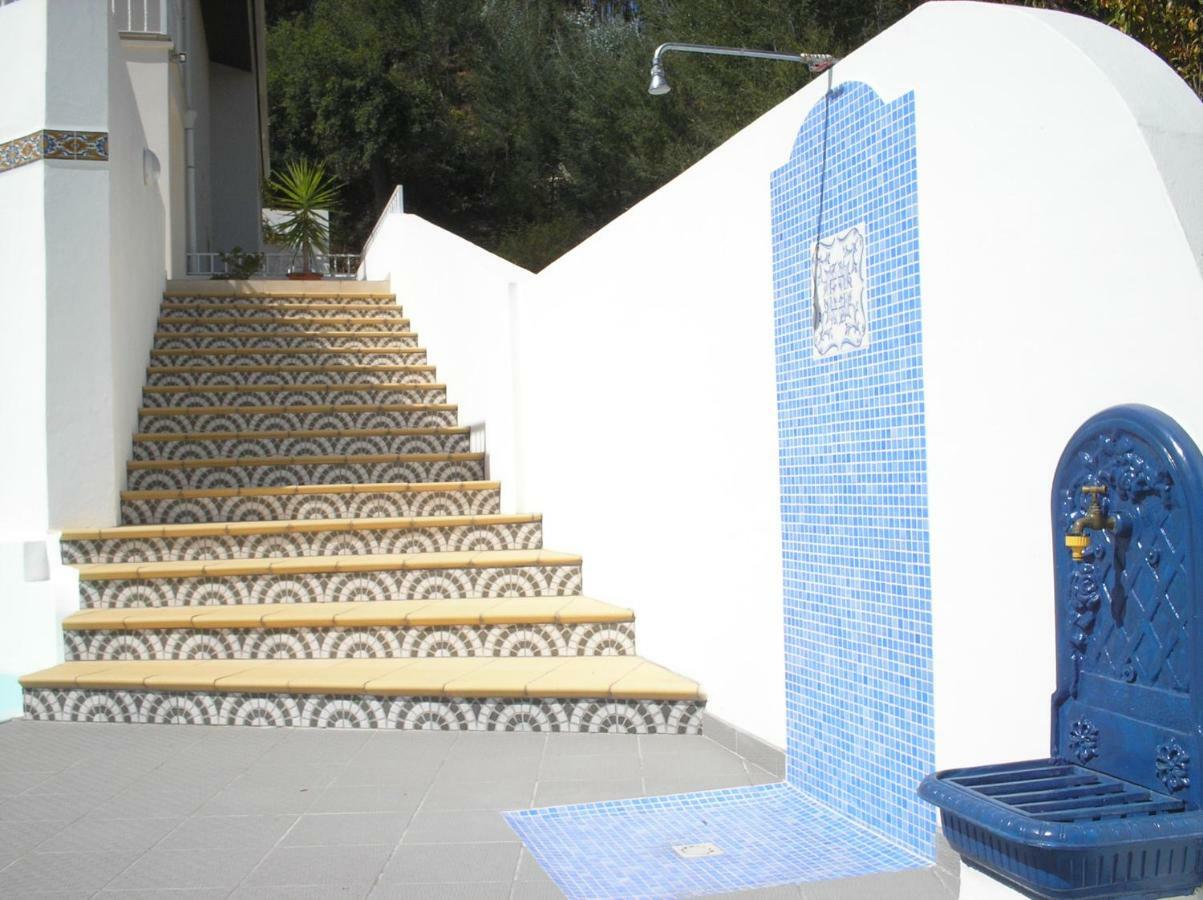 Vivenda Pirilampo Villa Vila Nova de Poiares Exteriör bild